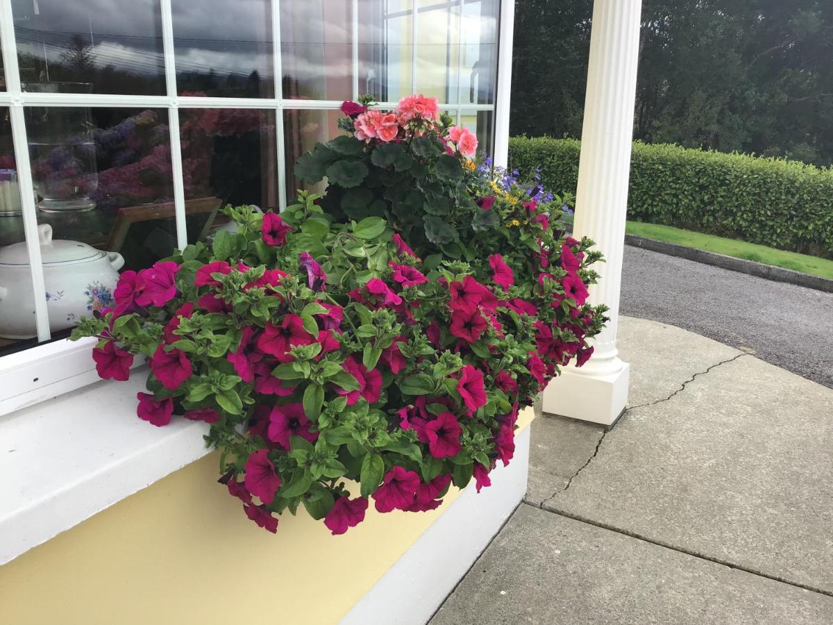 Oakfield Bed & Breakfast Kenmare Exterior photo